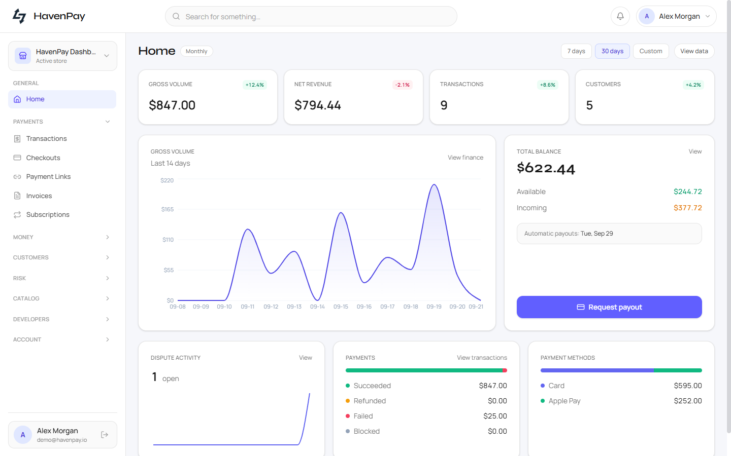 HavenPay merchant dashboard preview